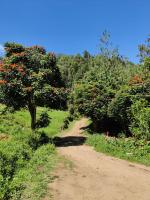 Lone Tree Creek - B&B Vattavadai