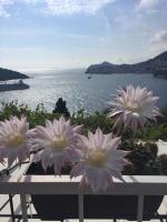 B&B Dubrovnik - Apartment and room Sveti Jakov - Bed and Breakfast Dubrovnik