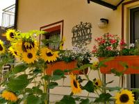 FeWo Ulbrich Langenstadt - B&B