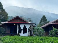  Premier Villa
