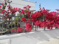 Monte Sant' Angelo - B&B