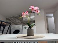 Apartment Star - Bed and Breakfast Jajce