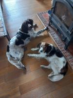 B&B LoFt 21 - B&B Ravels