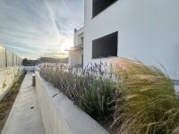 Le Calendule - B&B Olbia