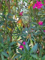 Case rotonde - B&B Ognina