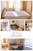 Neringarent DRUSKĖ - 2-jų miegamųjų su atskiru įėjimu - B&B Juodkrantė