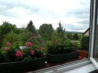 Ferienwohnung Bradsch - B&B Ilmenau