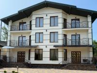 Villa Viktoria - Bed and Breakfast Lazeshchyna