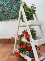 Noreas Centro Lucus Augusti - B&B Lugo
