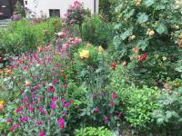 Apartment Gosberg - 90qm - B&B Pinzberg