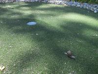 SRDEČNÁ - rodinný penzion - B&B Nový Přerov