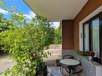 Apartma Zeleni mir - B&B Dobravlje