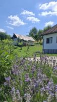 Agroturism Sesuri 151 - B&B
