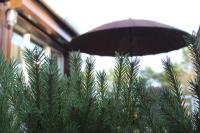 Holiday Terrace Nida - B&B Nida