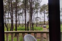 4 Bed Villa-Sleeps 8-Parking-Garden-Sea View - B&B Ureki