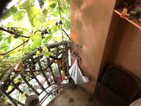 Vojko Holidays - Chambres d’hôtes Koper