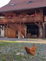 Insolit'appart à la ferme - B&B Horbourg-Wihr