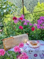 Vierbettzimmer mit Gemeinschaftsbad