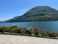 Appartamento con 1 Camera da Letto e Vista Lago