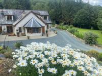 FOREST VIEW Woodland lodge - B&B