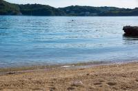 Apartments Hari - Bed and Breakfast Supetarska Draga