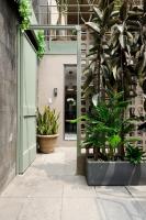 Zaterra, A Tranquil Oasis in Roma Norte - B&B Ciudad de México