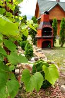 Dzika Cisza DOMEK CAŁOROCZNY - B&B Olchowiec