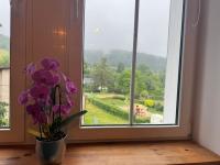 Rezydencja pod Borową - B&B
