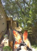 Romantic Downtown Paso Retreat Walk to Wine & Dining - B&B El Paso de Robles