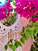 Reginas studios & apartments - Bougainvillea Suite - B&B