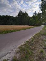 Apartament 1 - B&B Wrzeczko