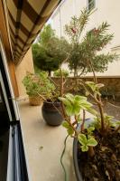 Casetta Beatrice Cozy Flat near Vatican - B&B Rome