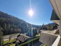 La Bresse Nature and Glisse - Ferienwohnung La Bresse