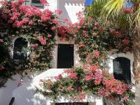 MAR Y SOL by SOM Menorca - B&B Fornells