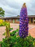 The Stables - Private room in a shared house - Guests only - B&B