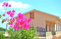I Tre Pini - B&B Massa Lubrense