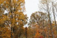 "Cozy Dumplin" - Warm & Modern Stay in RRG/Auxier - Ferienwohnung Pine Ridge