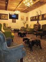 Forest Apartment Gosau - B&B Gosau