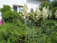 Camera Familiare con Bagno in Comune