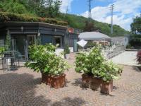 Ficano's Dream - B&B San Siro