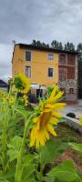 B&B Toringo - B&B Capannori
