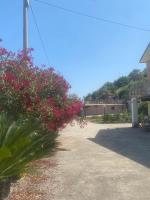 Casa vacanze Melania - B&B Cupra Marittima