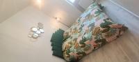 Appartement T2 style tropical tout confort CENTRE VILLE - B&B Angoulême