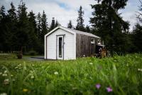 Meža namiņš Upeskrasti - Bed and Breakfast Zosuli