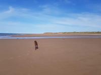 Cosy, coastal cottage- Beach, Pub and shop nearby - Chambres d'hôtes Haverigg