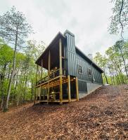 Lux Blue Ridge Cabin, Hot tub, Swing, PingPong! - B&B