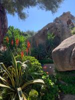 L'Olivastro Appartamenti a Porto Cervo - B&B