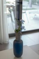 Suite Junior - Vue sur Jardin