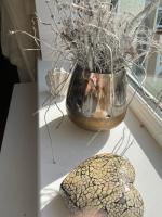 Hidden Gem in cullercoats - B&B Cullercoats