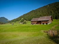 Leo's Hütte Sippersegg - B&B Hittisau